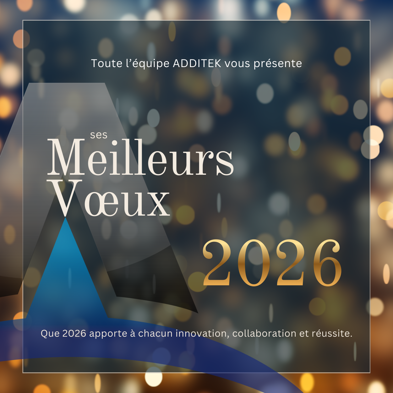 Meilleurs Voeux 2026